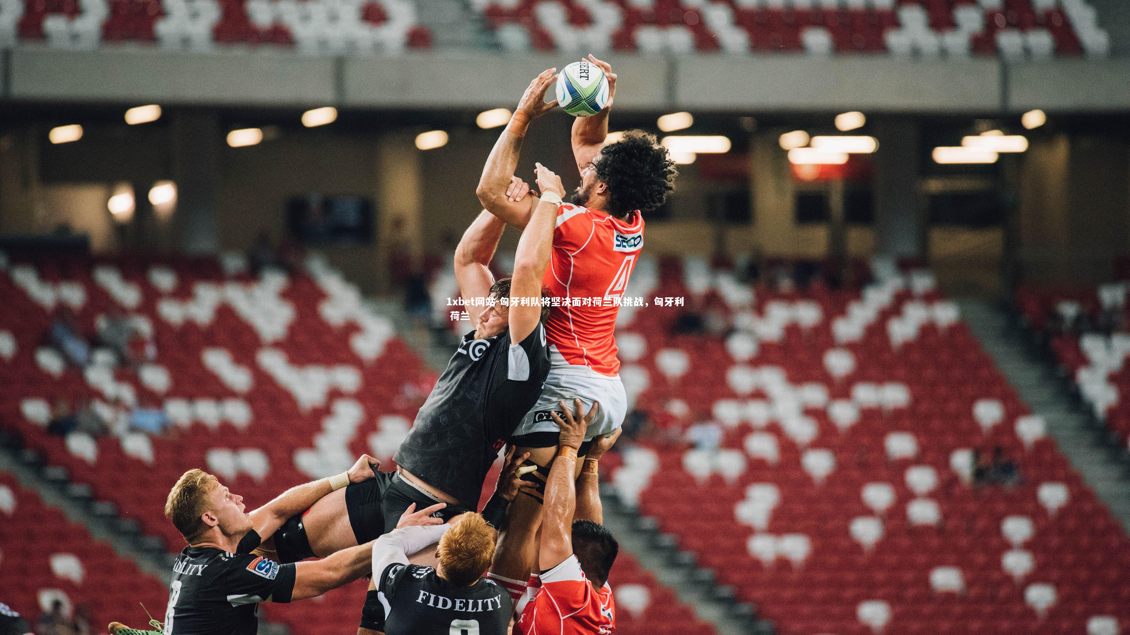 匈牙利队将坚决面对荷兰队挑战,匈牙利 荷兰